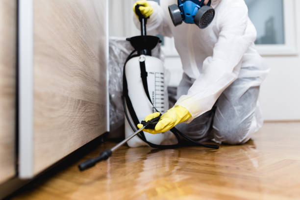 Pest Prevention Services in South Rosemary, NC