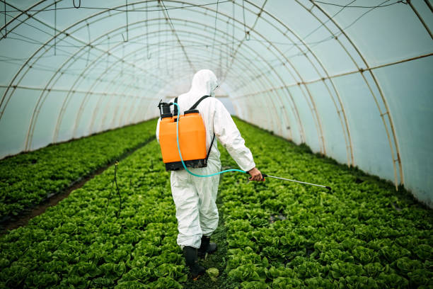Best Local Pest Control Services  in South Rosemary, NC
