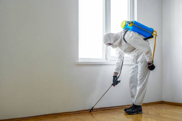 Trusted South Rosemary, NC Pest Control Experts