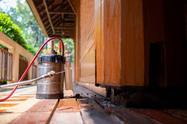 Best Best Pest Control Companies  in South Rosemary, NC