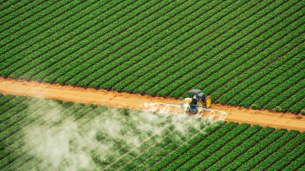 Best Pest Prevention Services  in South Rosemary, NC