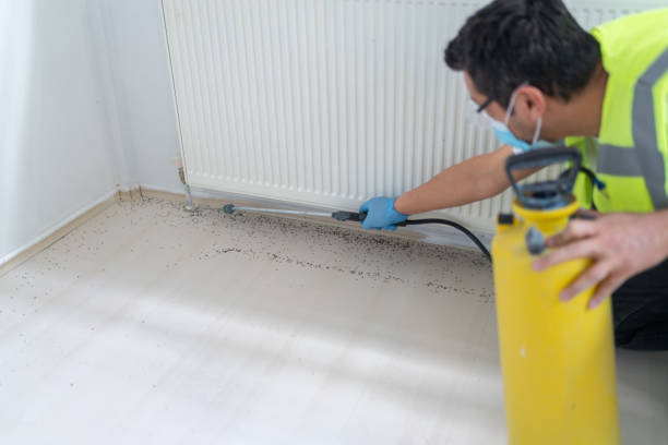 Best Cockroach Control Services  in South Rosemary, NC